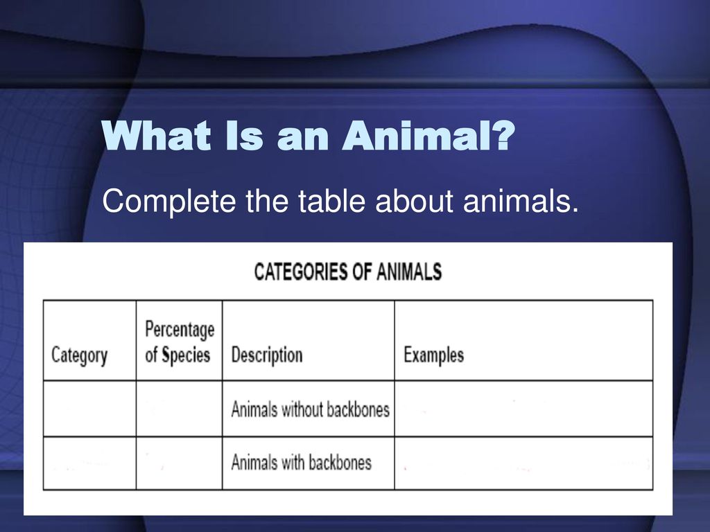 Introduction to the Animal Kingdom - ppt download