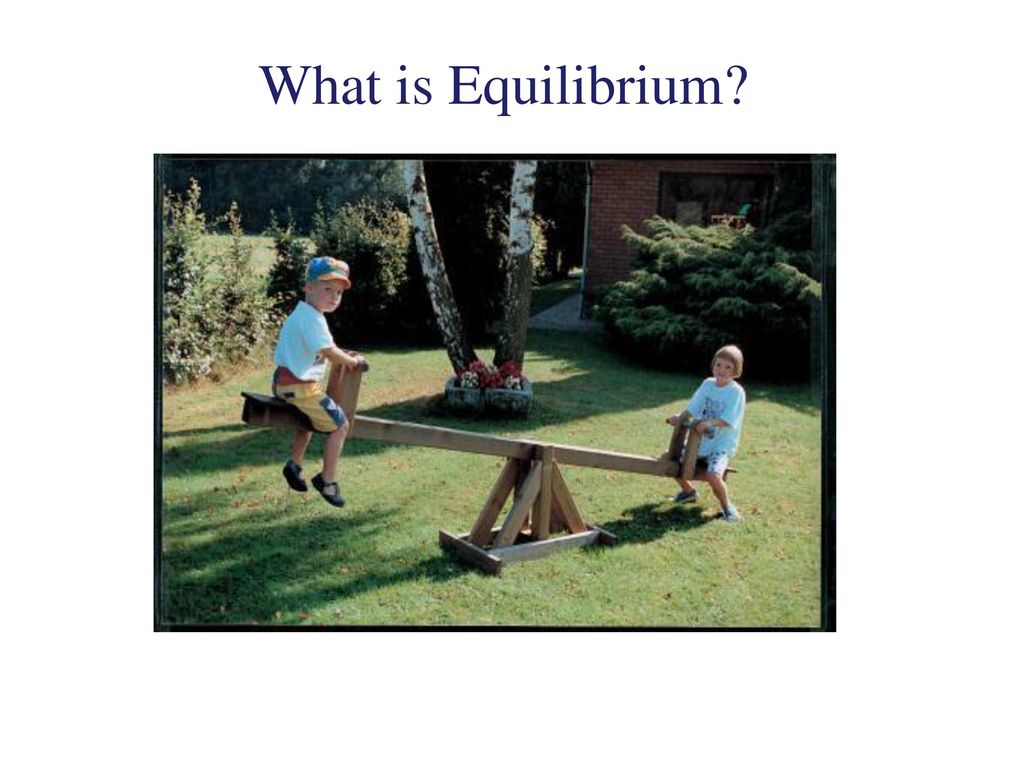 What is Equilibrium