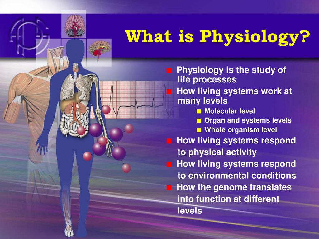 Physiology The Science of Life ppt download