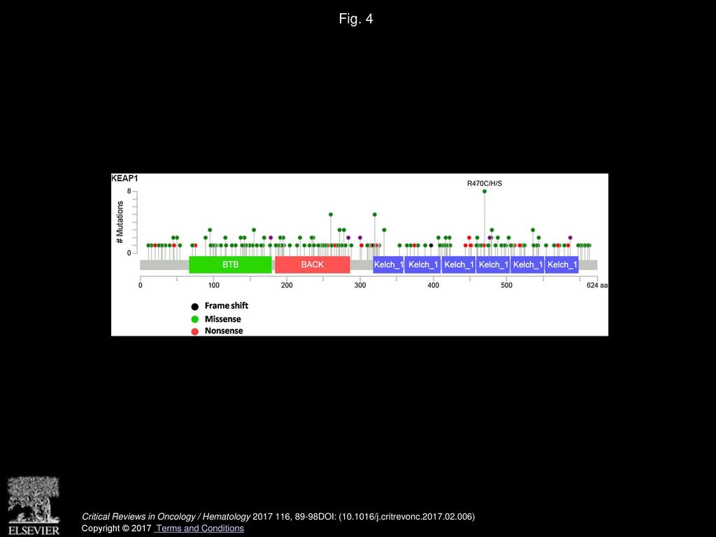 Fig. 4 Various Mutations in different domains of Keap1 available at CBIO Portal.