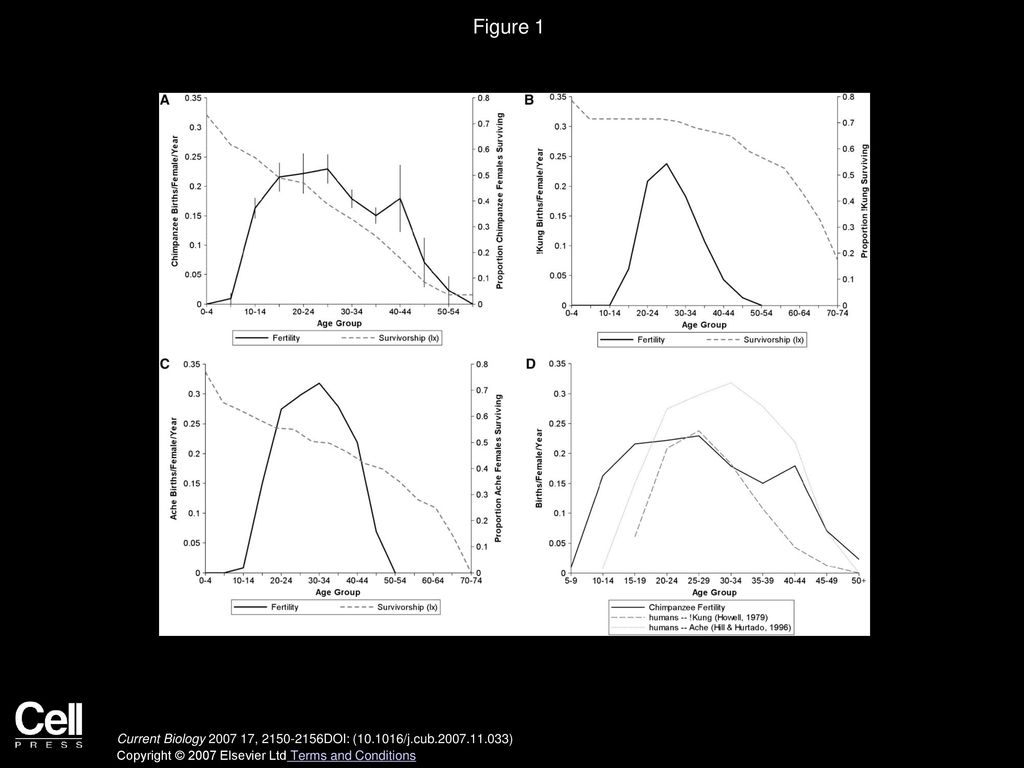Volume 17, Issue 24, Pages (December 2007) - ppt download