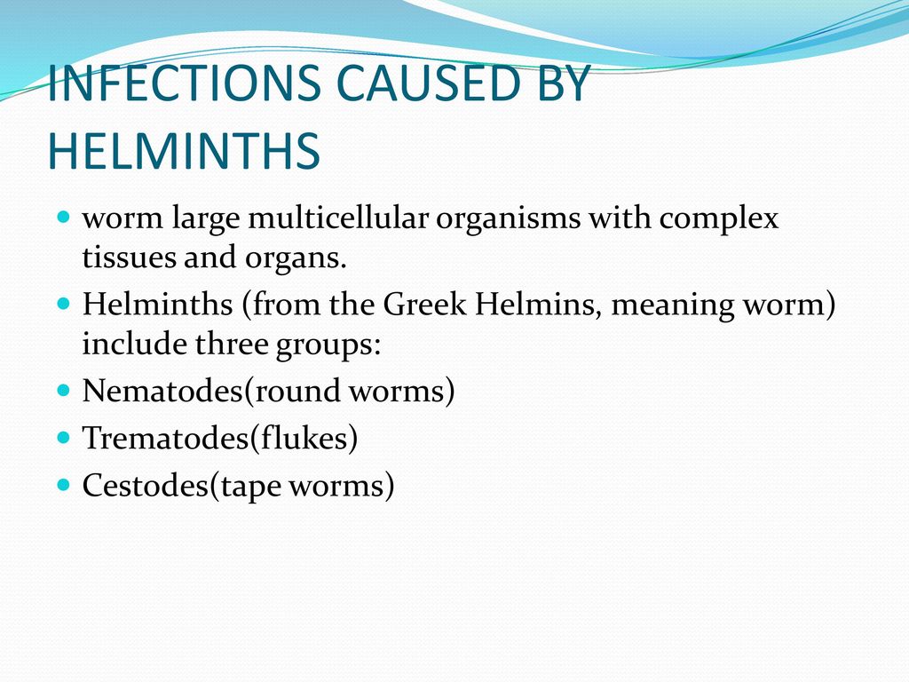 causes of helminthic infestation papiloma virus alfa
