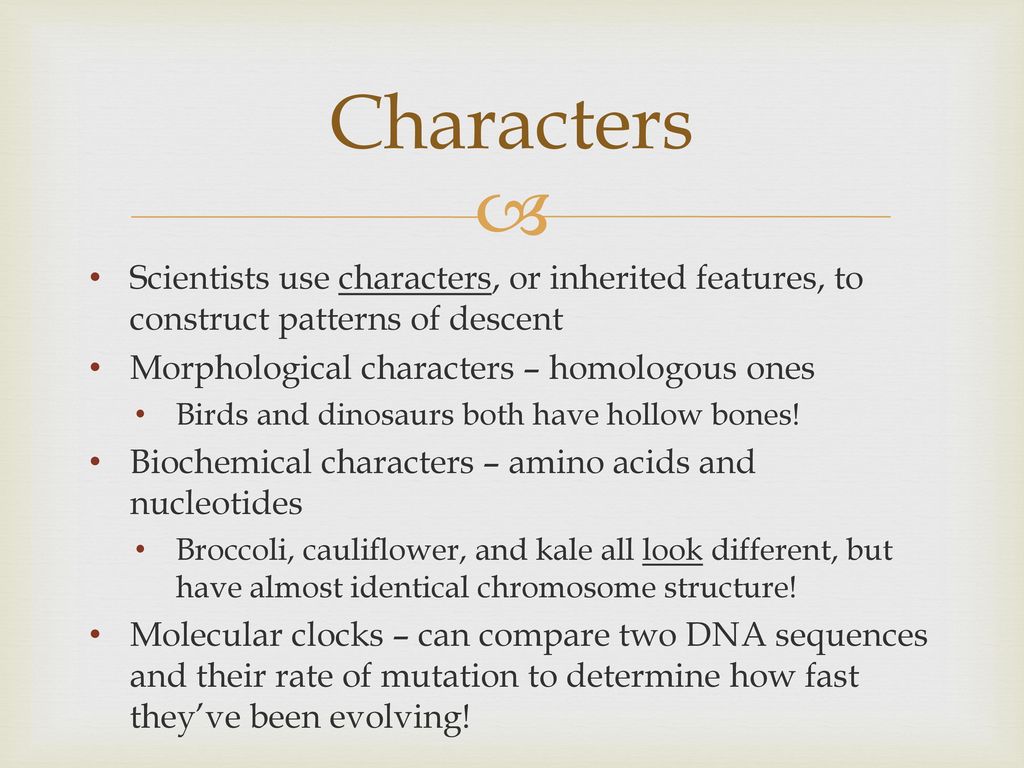 Characters Scientists use characters, or inherited features, to construct patterns of descent. Morphological characters – homologous ones.