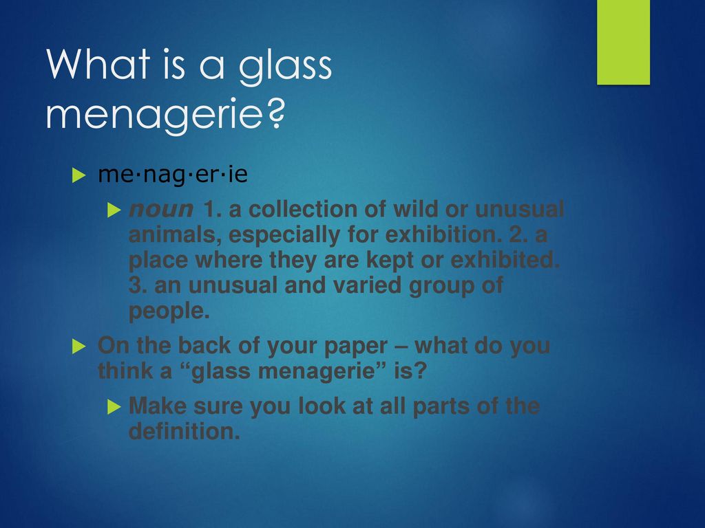 glass menagerie definition