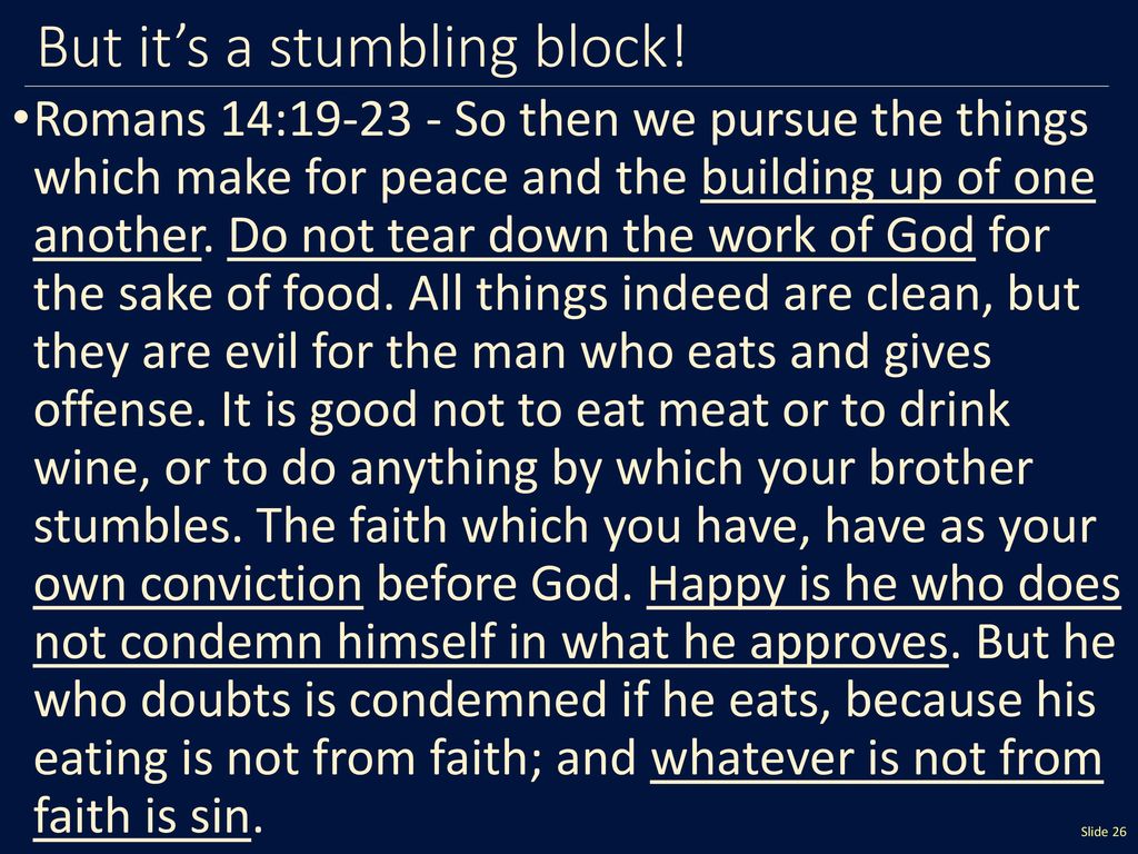 Romans 14 Summary Romans 14 Summary