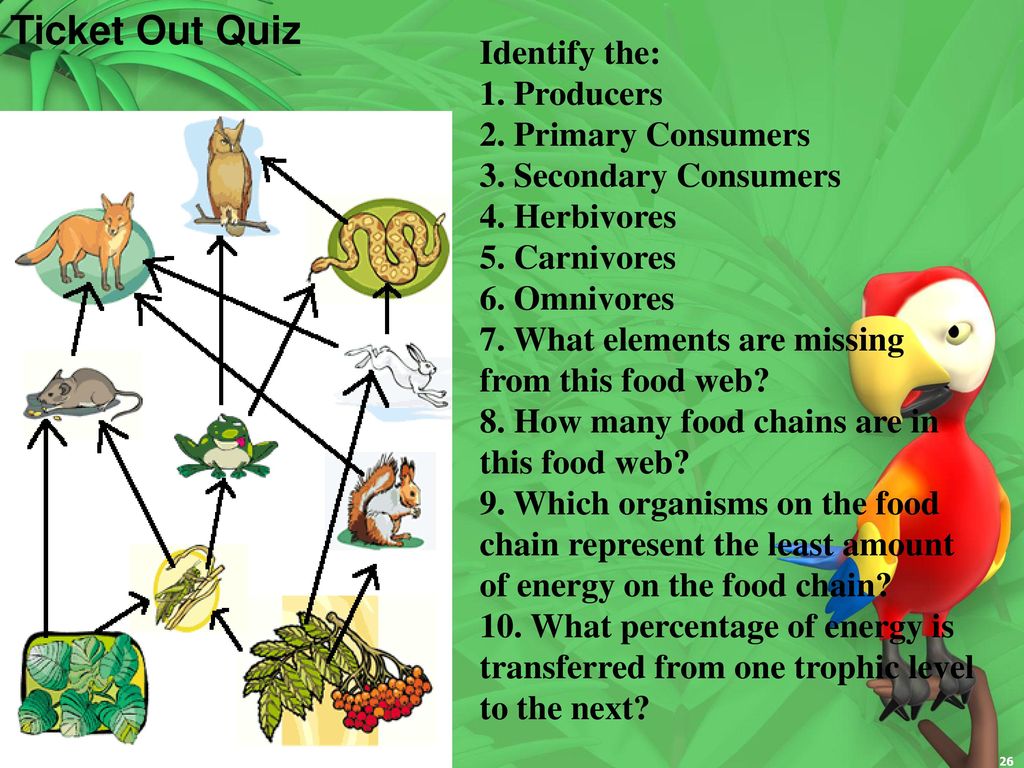 Cycles in Matter Describe the short Biology Diagrams