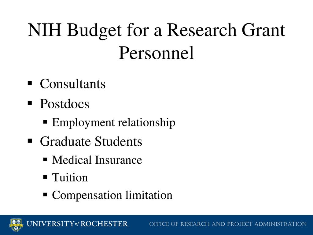 Back to the Basics Preparing an NIH Budget ppt download