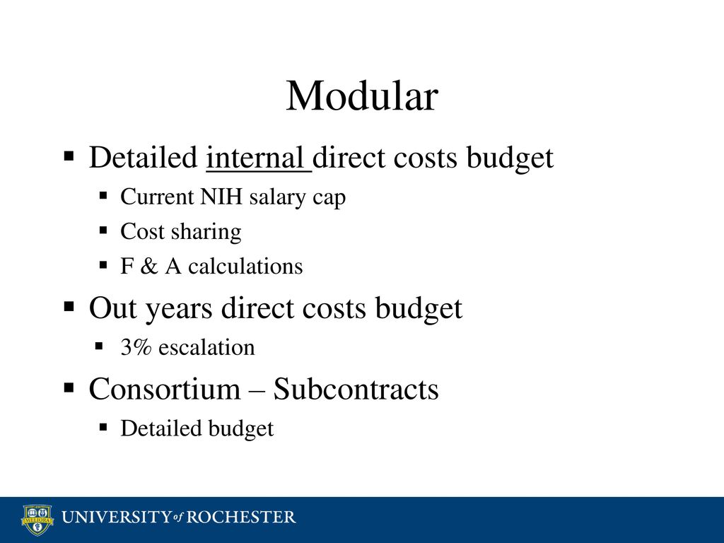 Back to the Basics Preparing an NIH Budget ppt download