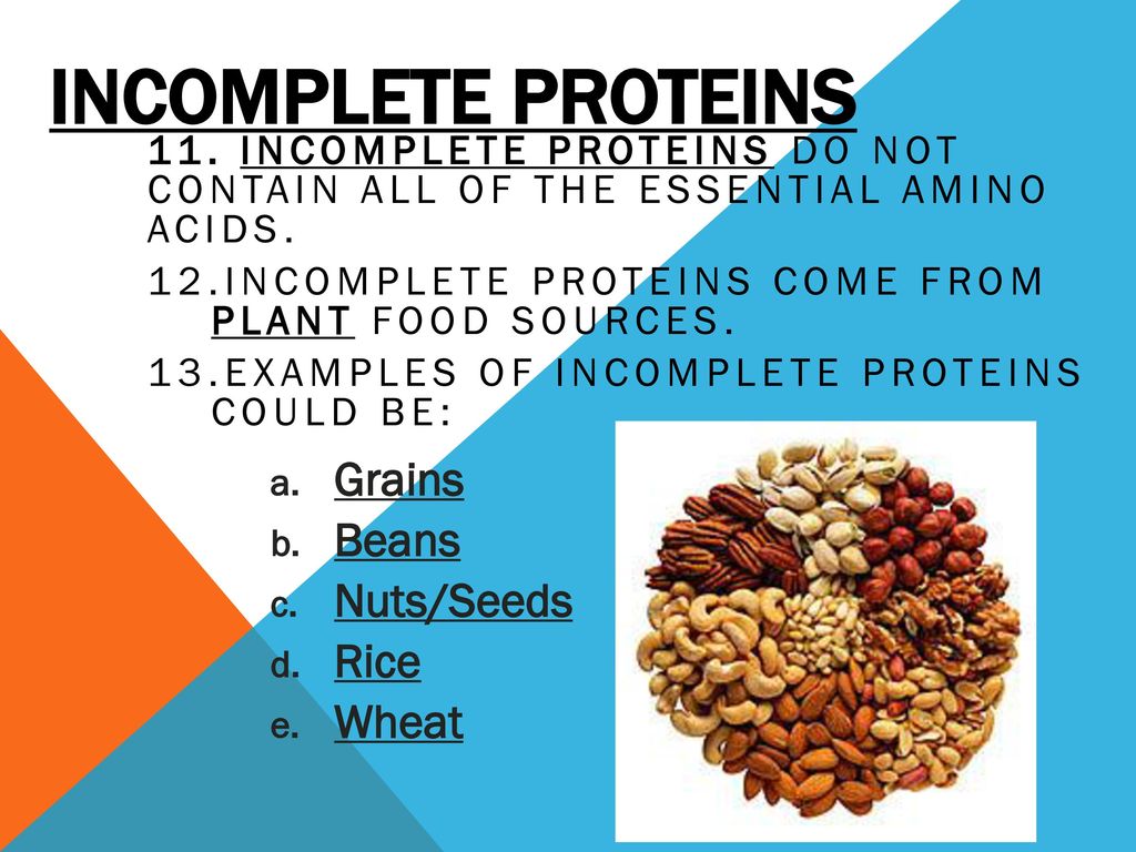 PROTEIN. - ppt download