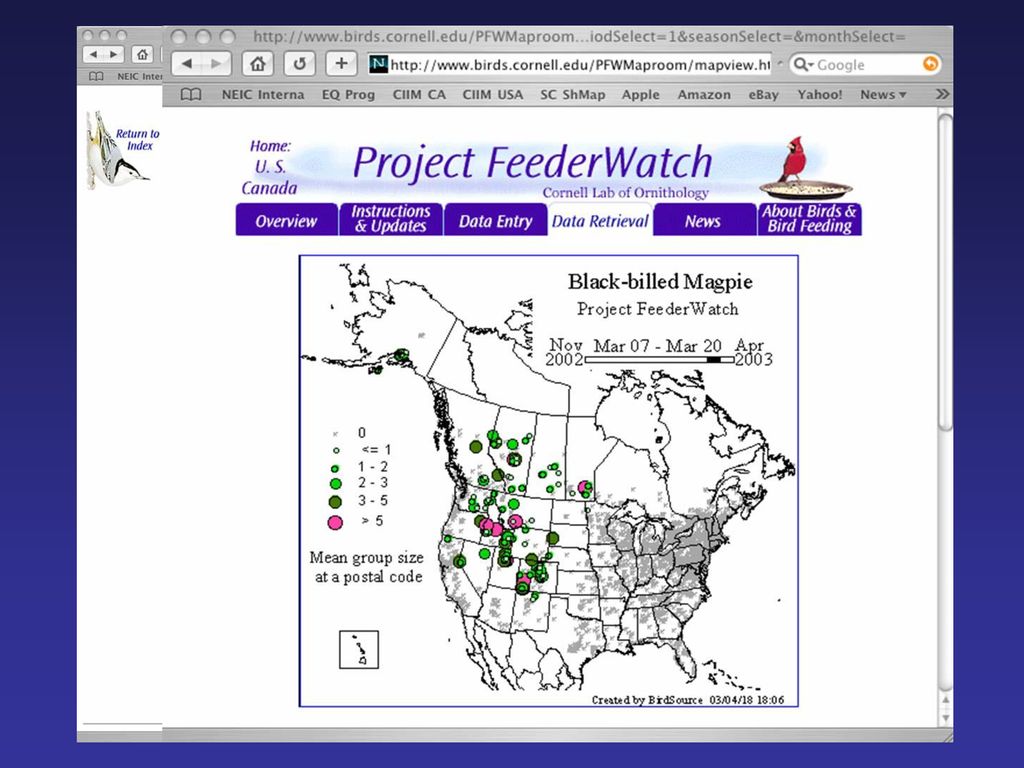 Project FeederWatch A website from the Cornell Lab of Ornithology showing results of Project Feeder Watch for the black-billed magpie.