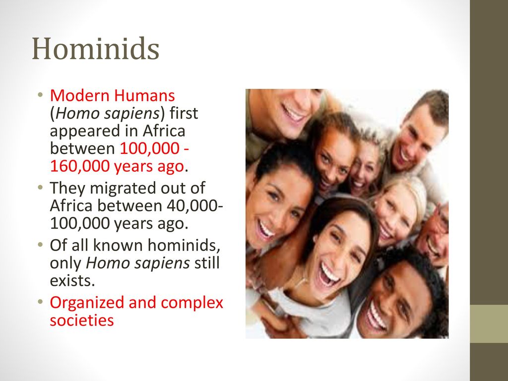 Humans And Other Primates Ppt Download