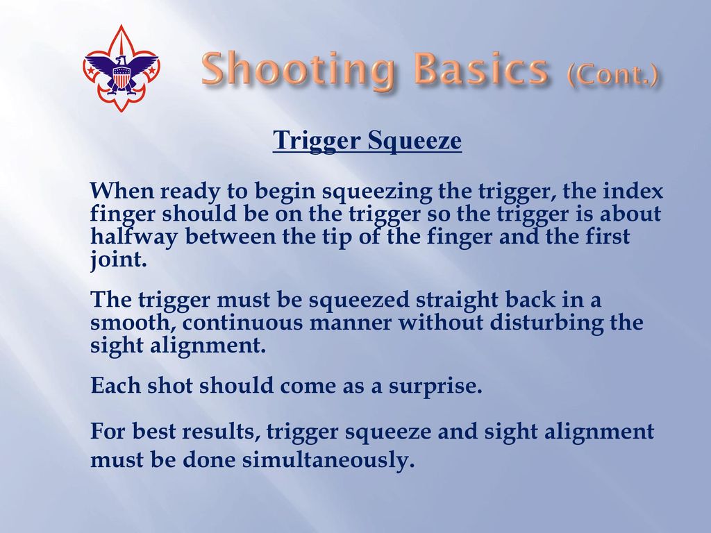 BSA BB GUN Range Master Training - ppt download