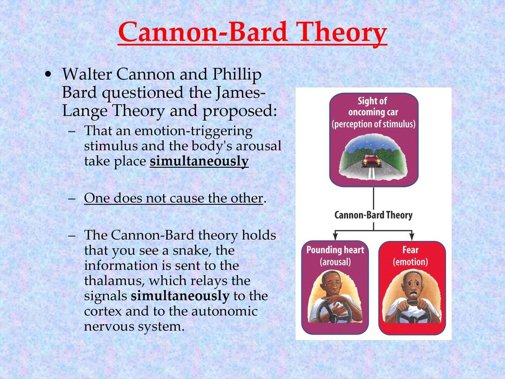 cannon theory of emotion