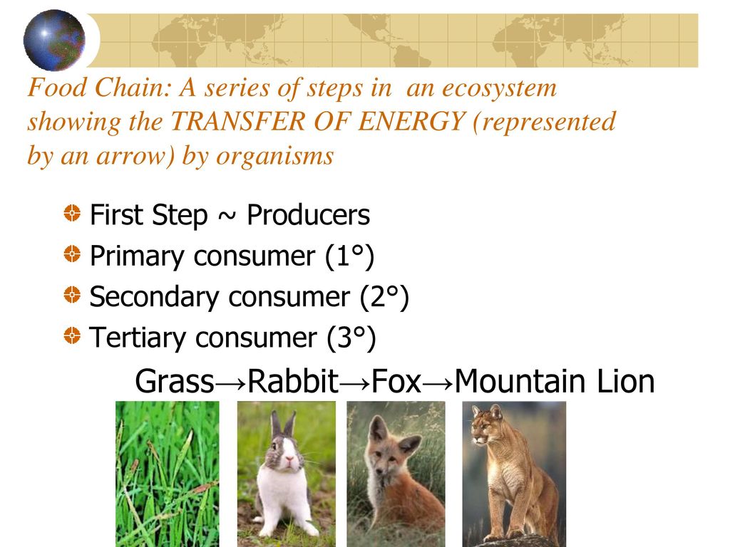 The study of the interaction of living things with their environment