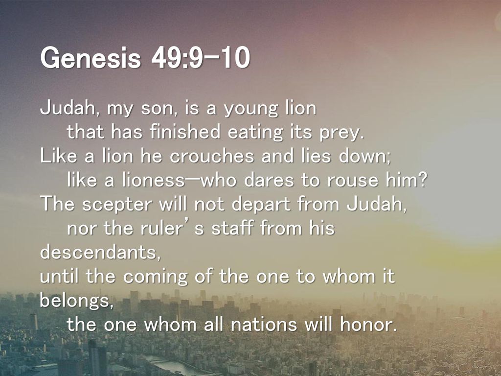 Revelation 5 5 But One Of The Twenty four Elders Said To Me Stop revelation-5-5-but-one-of-the-twenty-four-elders-said-to-me-stop