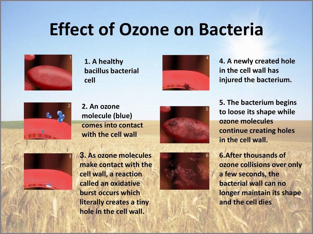 “OZONE TECH” SIA October, ppt download