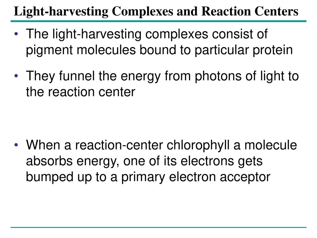 Photosystems Photosystem (fig 10.12) = rxn center surrounded by several  light-harvesting complexes Light-harvesting complex = pigment molecules  bound to. - ppt download