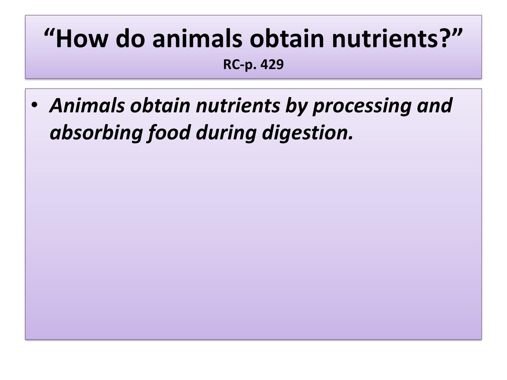 Digestion and Excretion - ppt download