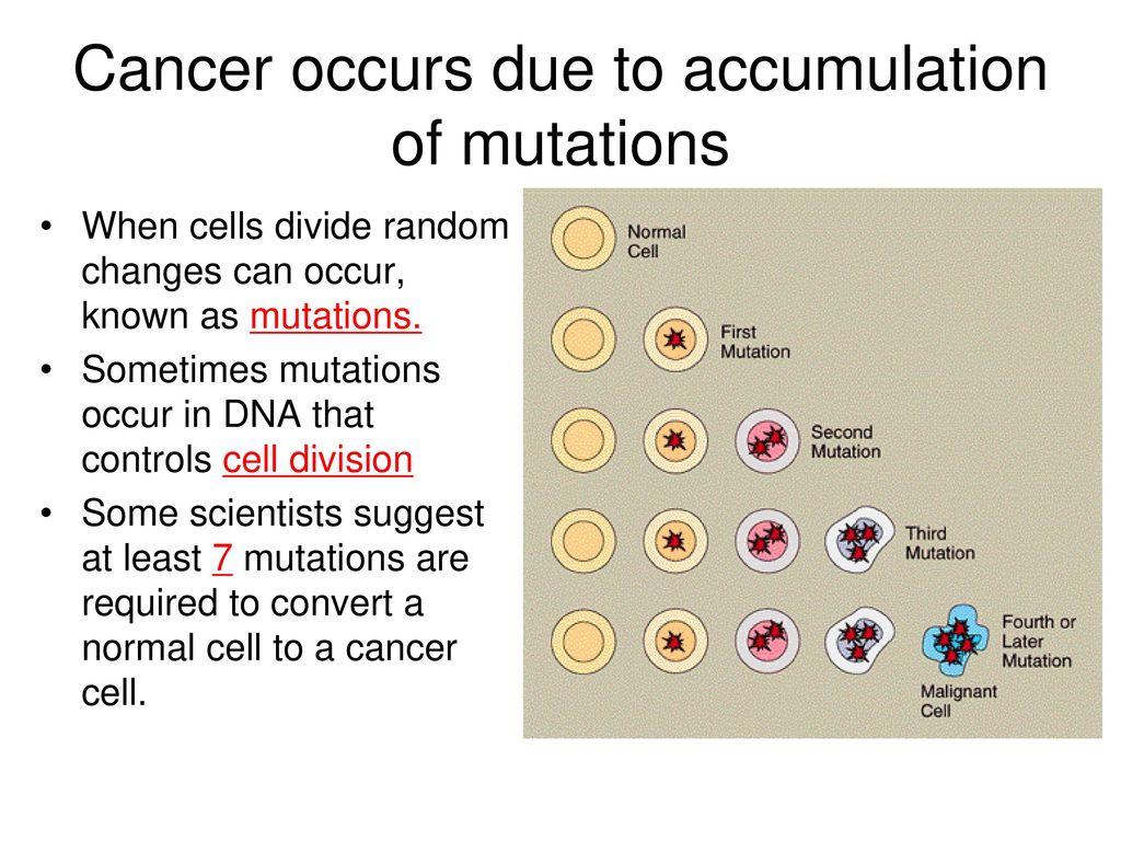 What do the following things have in common? Biology Diagrams
