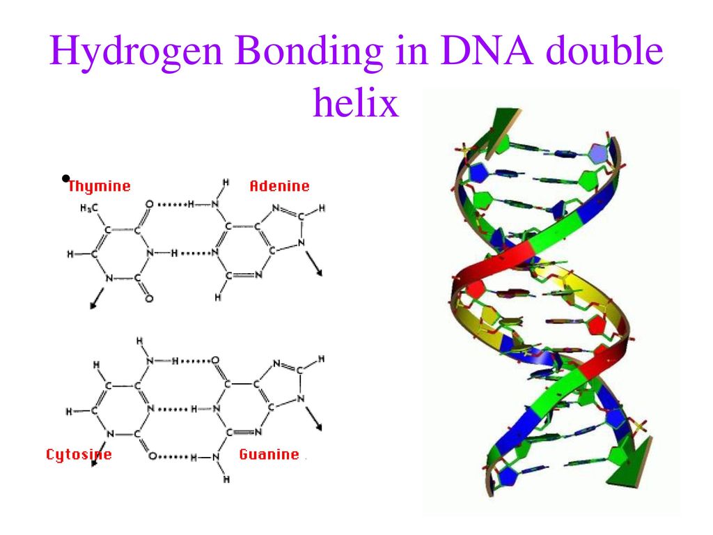 Intermolecular forces - ppt download