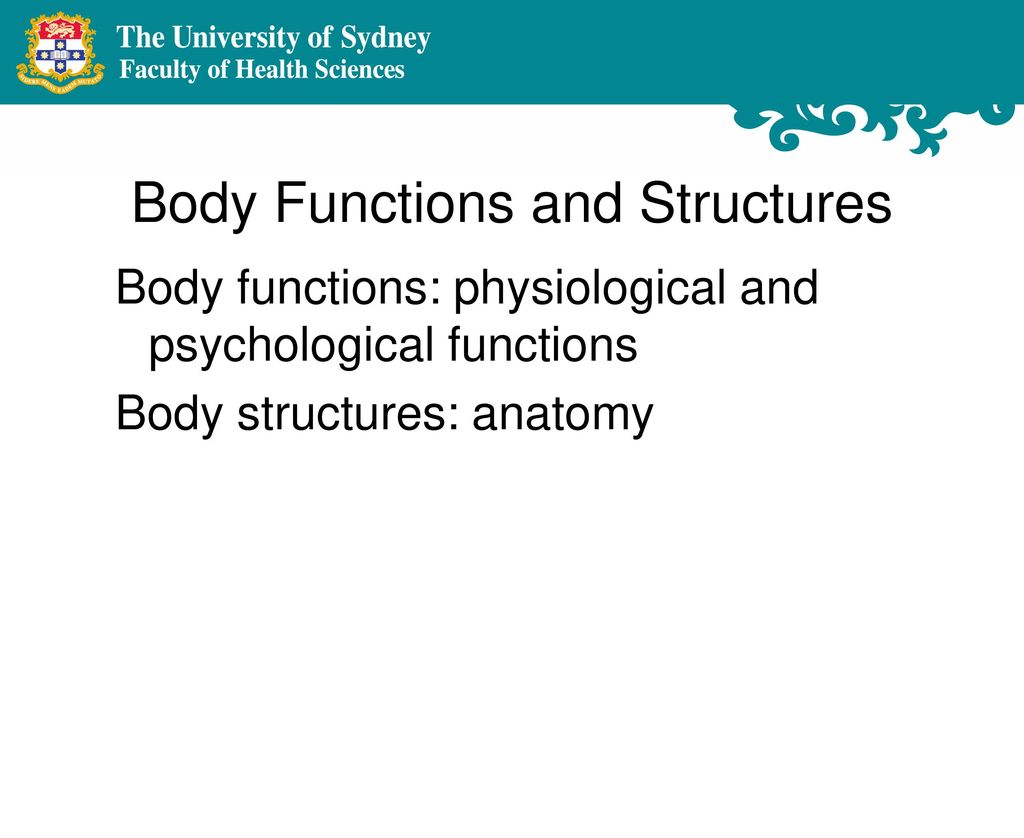 Mapping Tools For Assessing Rehabilitation and Health Needs to the ICF Biology Diagrams