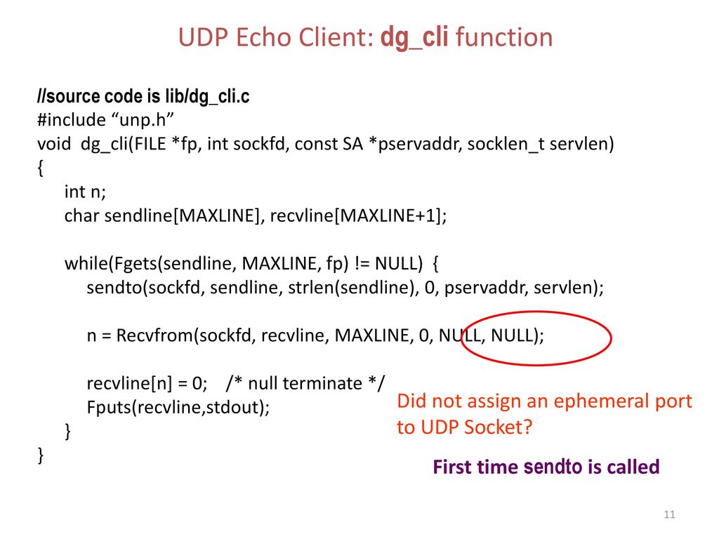 UDP Echo Client: dg_cli function