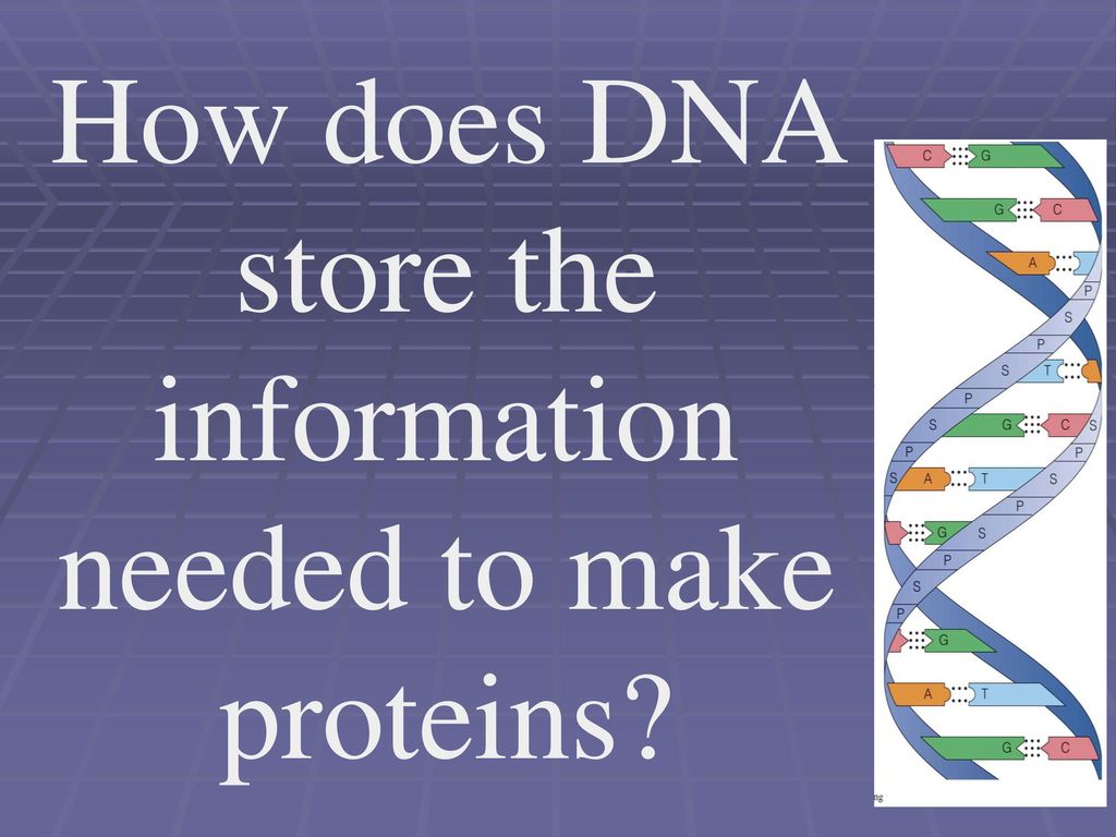 Why are proteins absolutely awesome ppt download