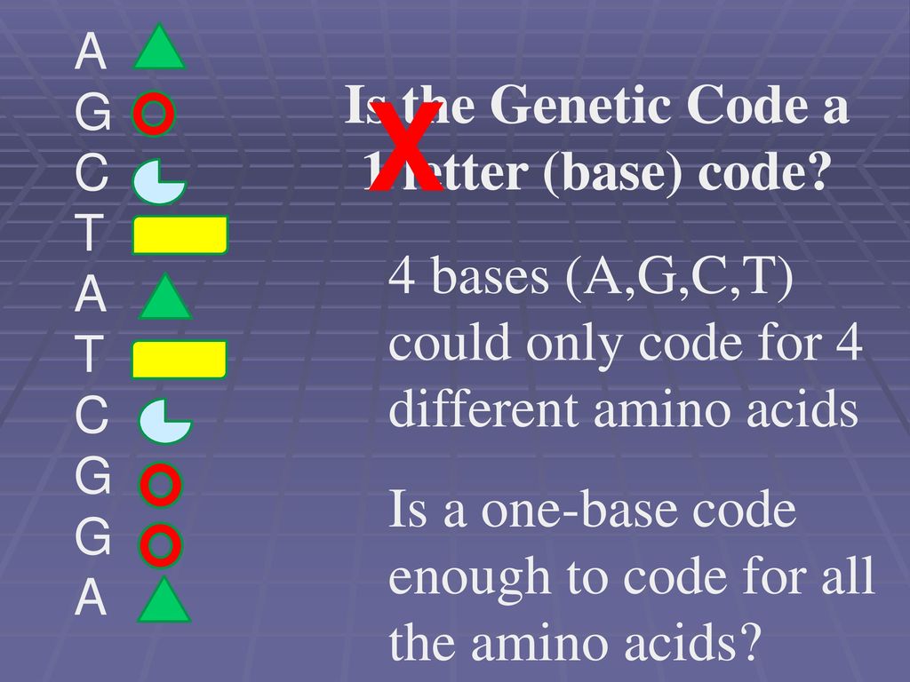 Why Are Proteins Absolutely Awesome Ppt Download