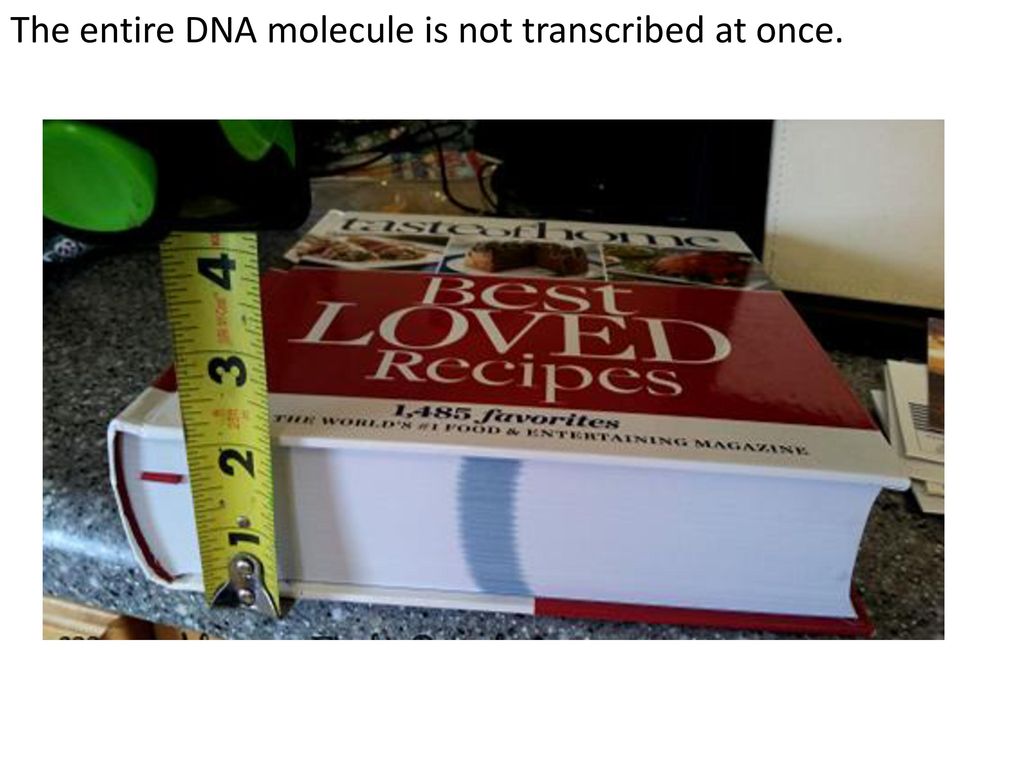 Recall that cells use dna to make protein ppt download