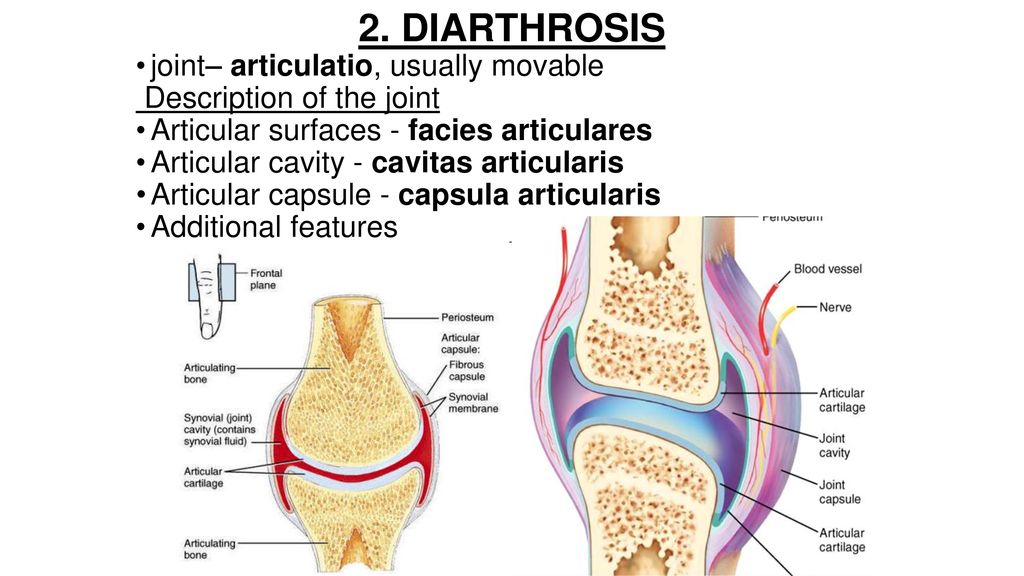 medicament articular anestezic