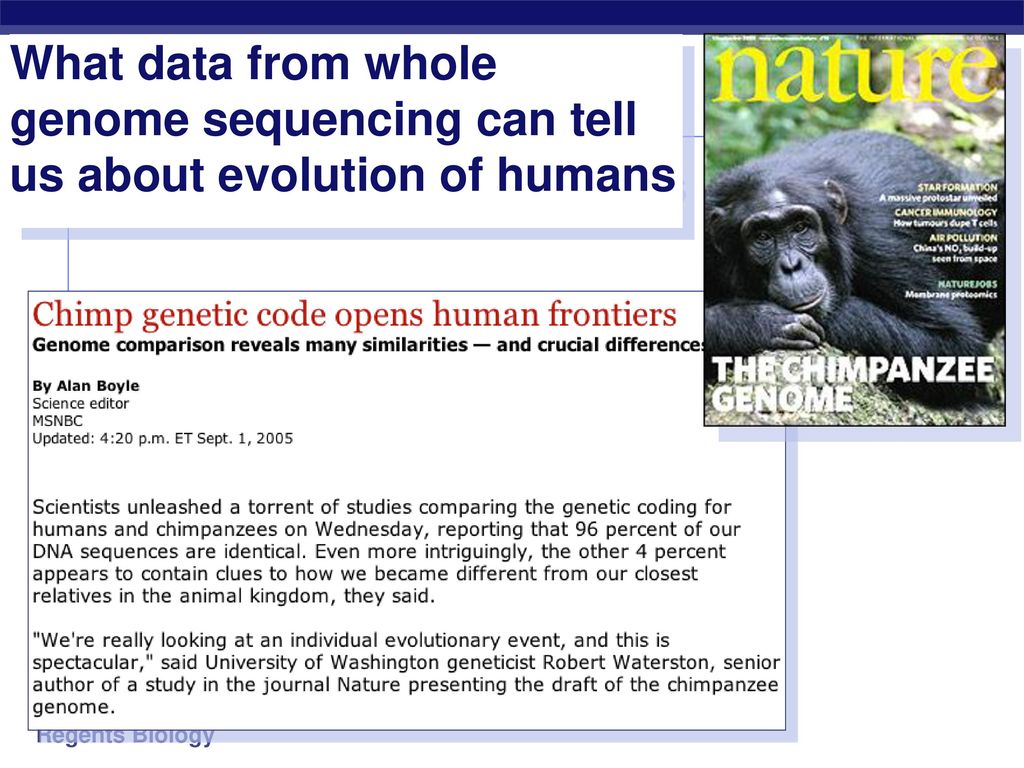 Natural Selection Lab Ppt Download Natural Selection Lab Ppt Download