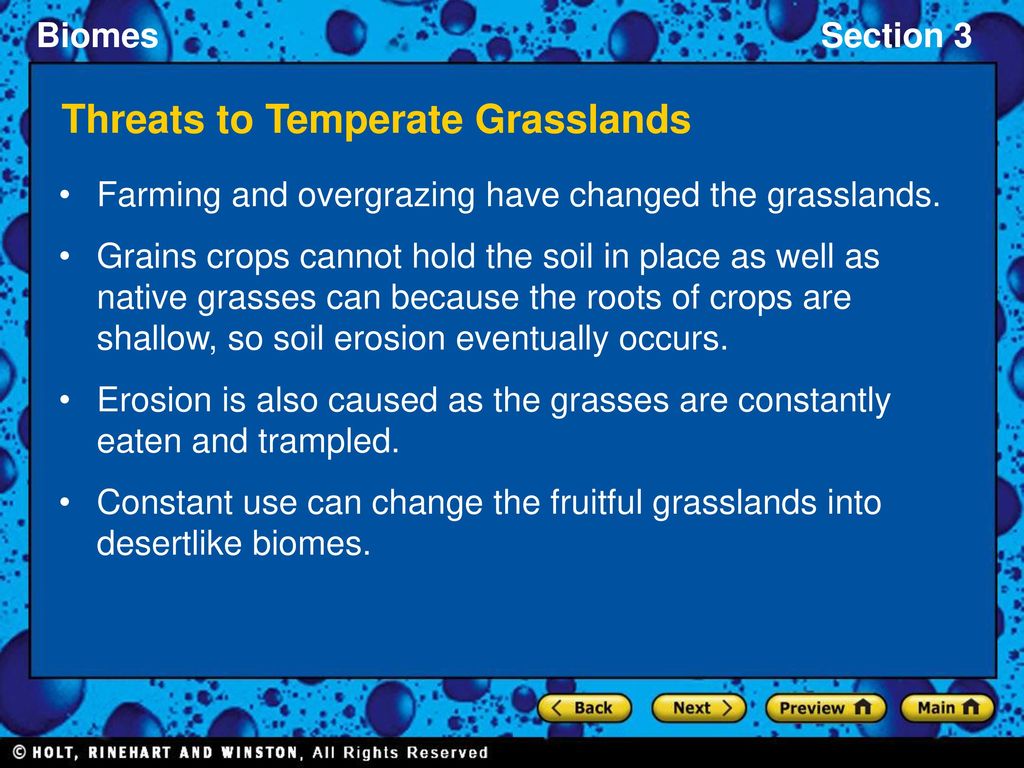 Section 3: Grassland, Desert, and Tundra Biomes - ppt download