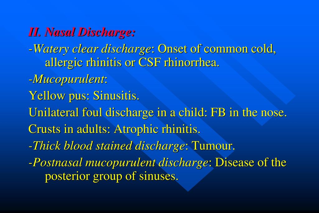 THE NOSE AND THE NOSE AND PARANASAL SINUSES PARANASAL SINUSES ppt