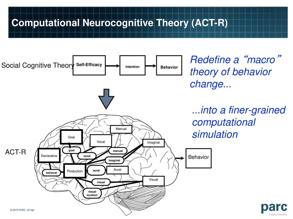 Computational Neurocognitive Theory (ACT-R)
