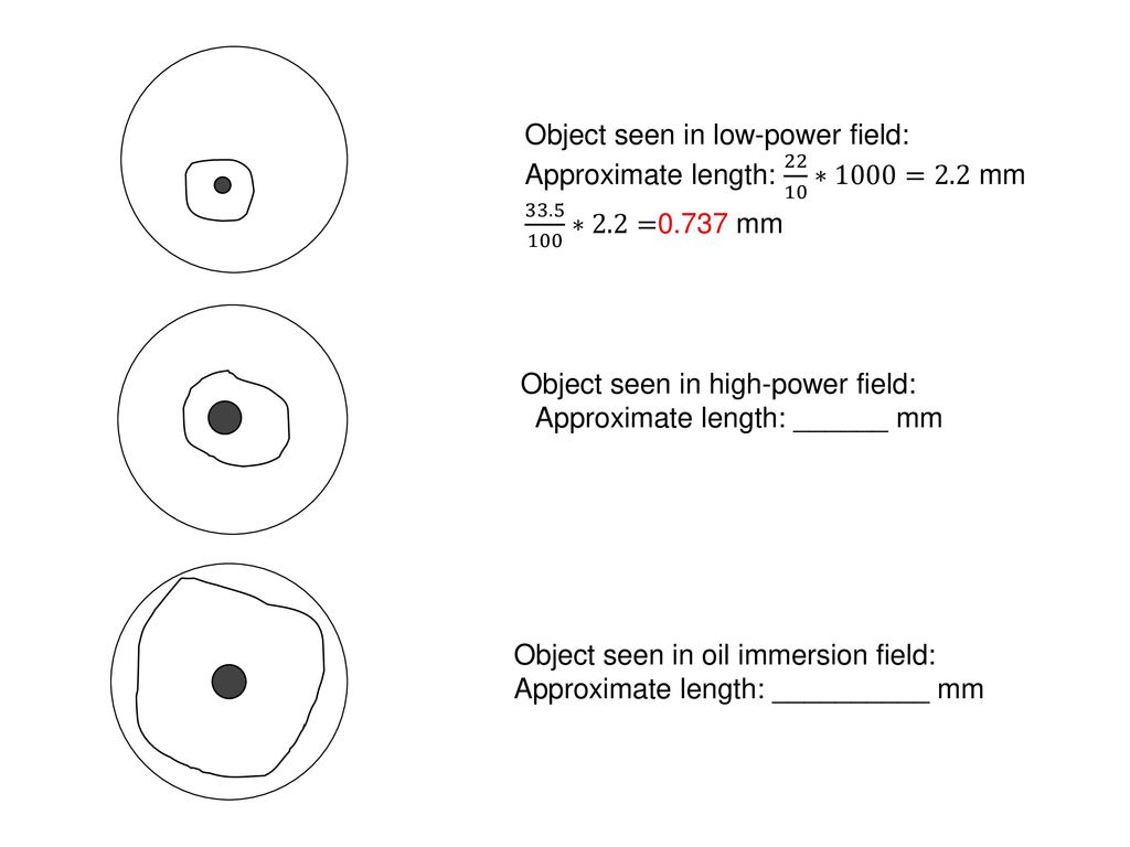 The compound microscope ppt download