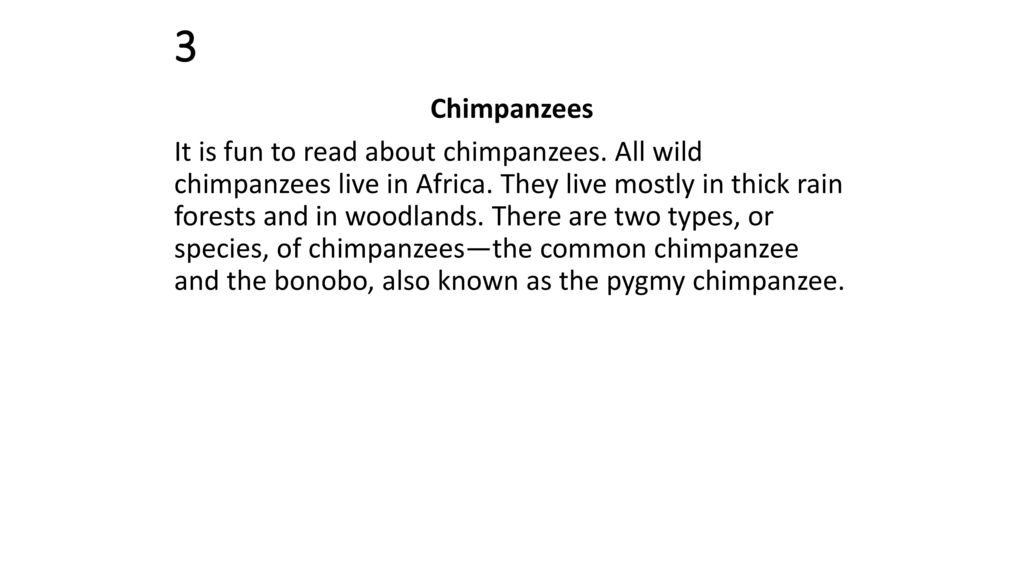 3 Chimpanzees.