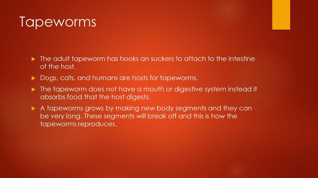 Flatworms And Roundworms Ppt Download