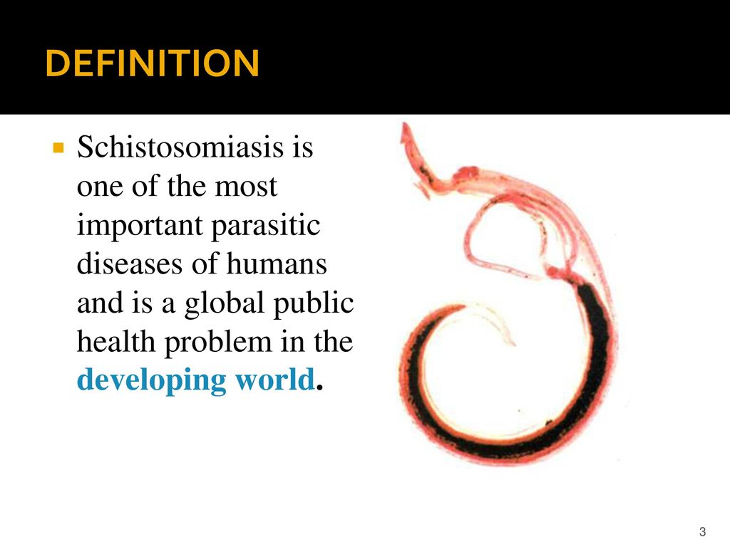 schistosomiasis definition)