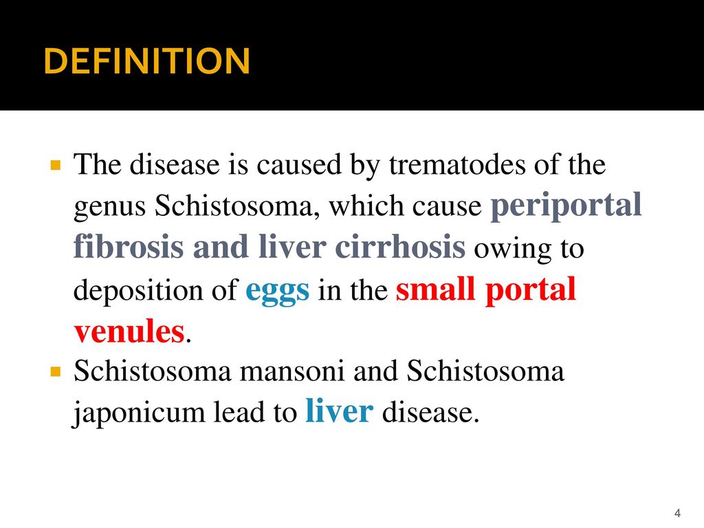 schistosomiasis definition)