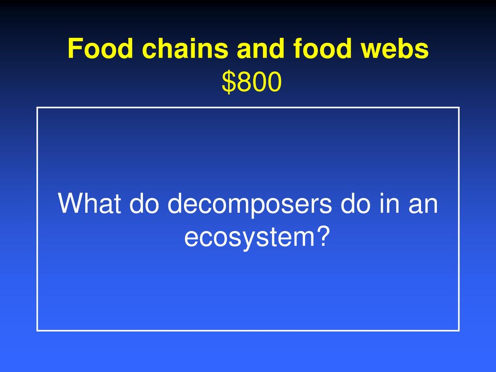 food-chains-and-food-webs-ppt-download