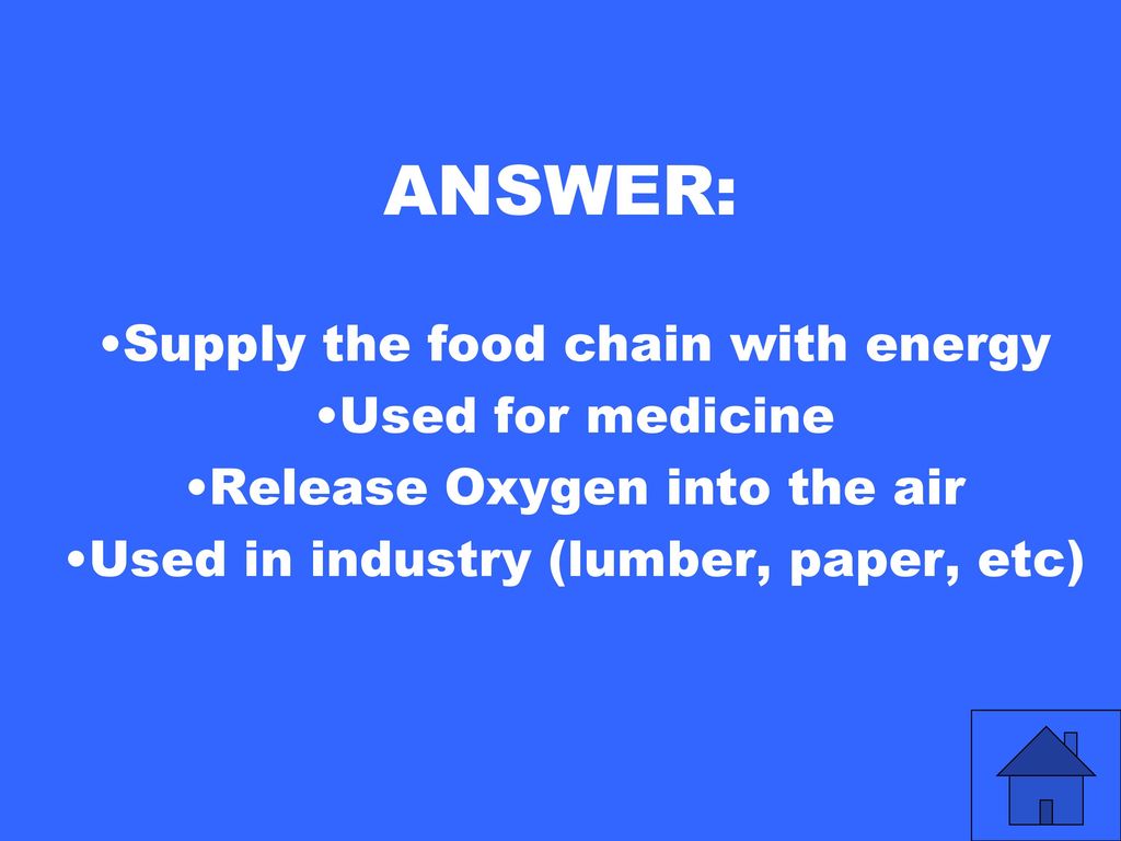 Photo Synthesis Plant Parts Types Of Plants Reproduction Potpourri photo-synthesis-plant-parts-types-of-plants-reproduction-potpourri