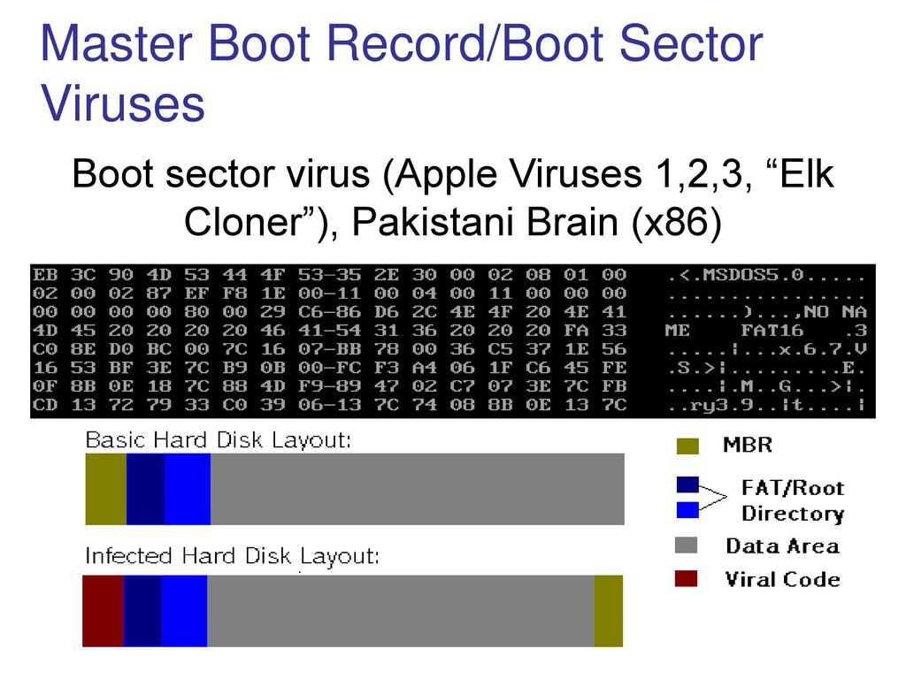scan master boot record for virus scan master boot record for virus