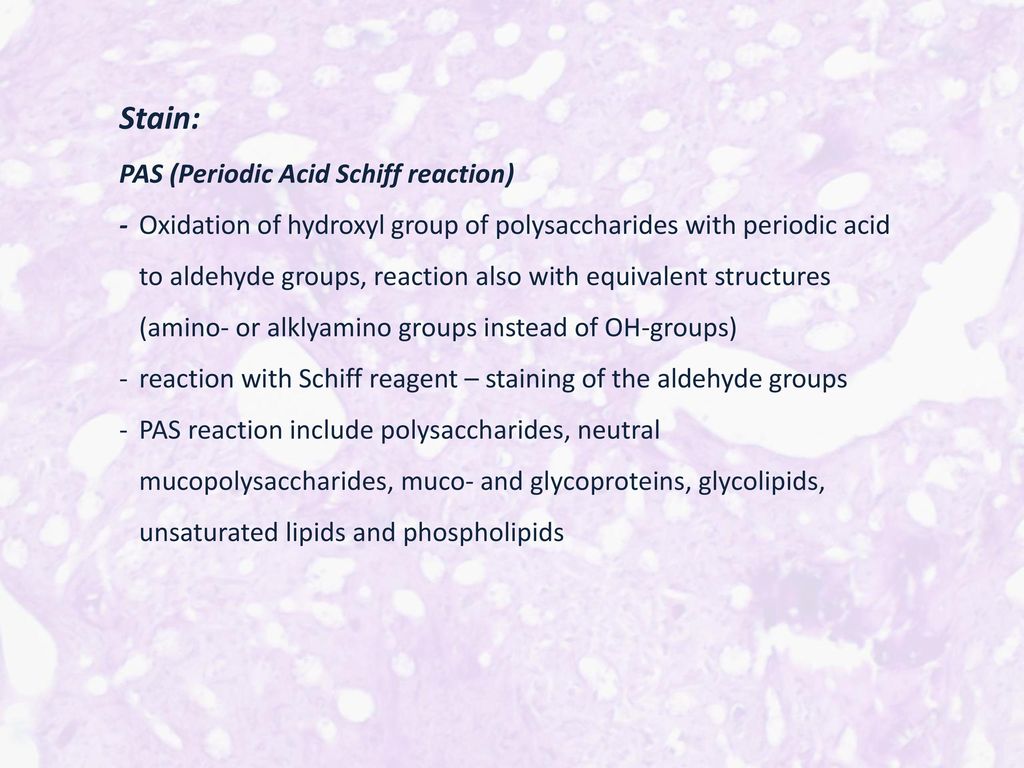Alcianblue –PAS (Periodic-Acid-Schiff) - ppt download