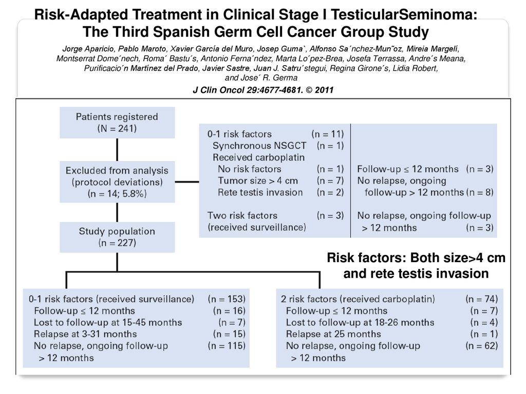 Risk-Adapted Treatment in Clinical Stage I TesticularSeminoma: