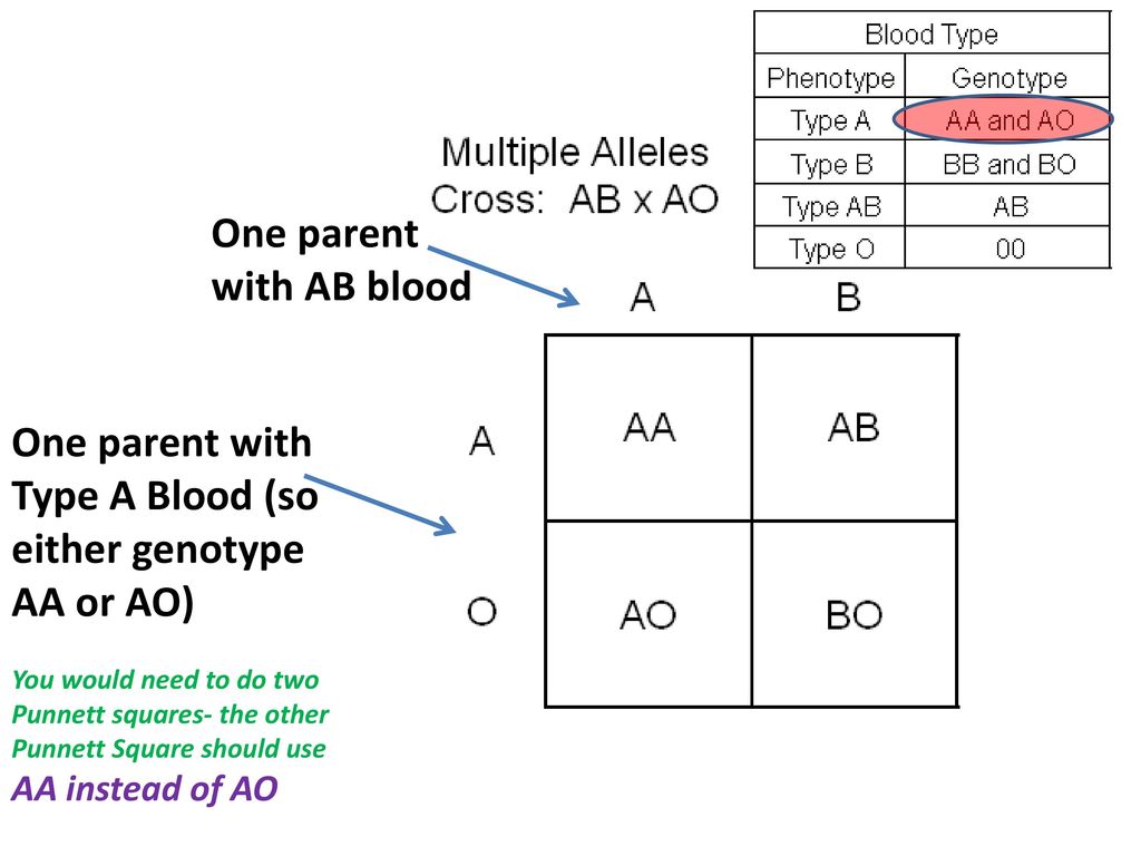 One parent with AB blood