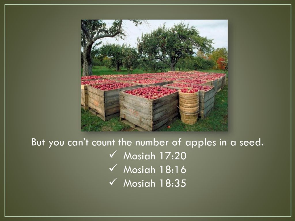 But you can’t count the number of apples in a seed.
