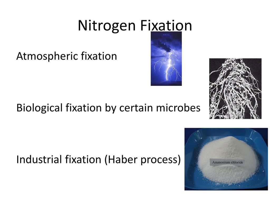 Transfer and Transformation of Energy and Materials ppt download