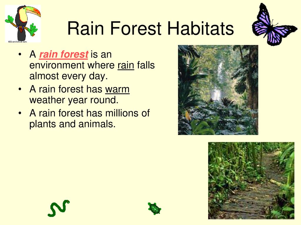 Habitats for Plants and Animals - ppt download