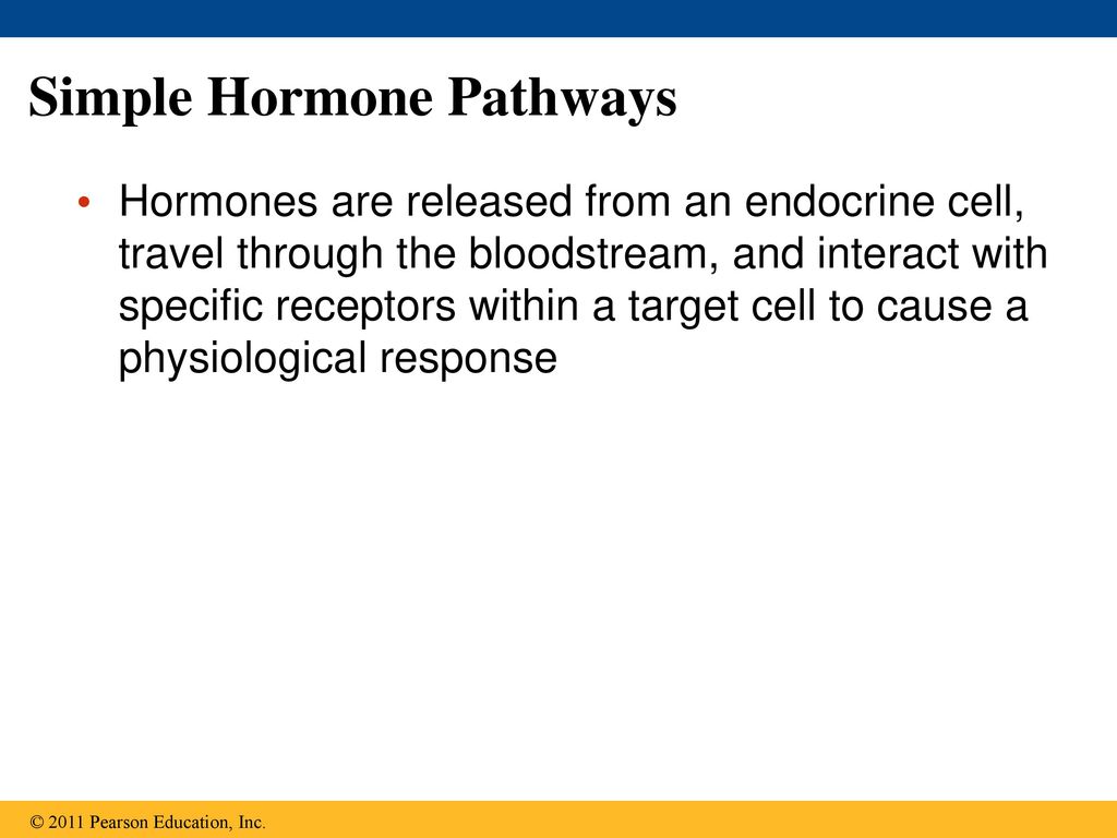 Hormones and the Endocrine System Biology Diagrams