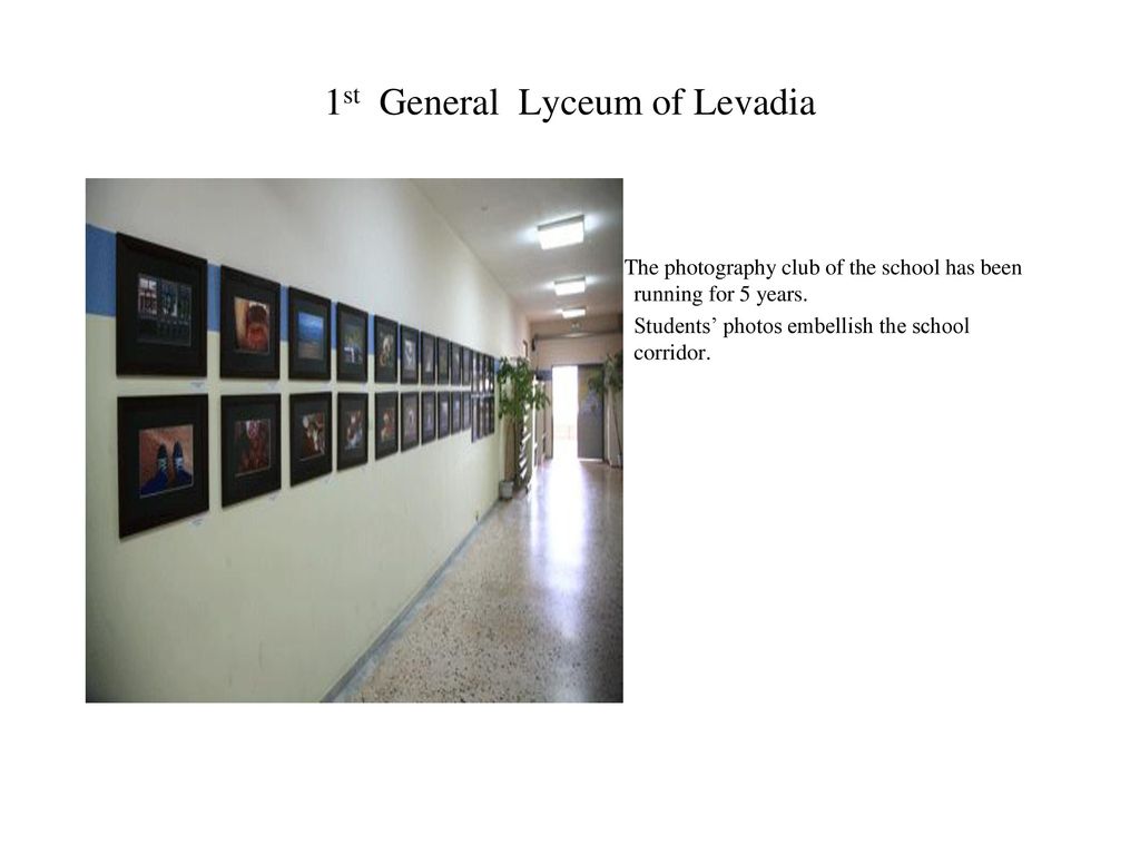 1st General Lyceum of Levadia